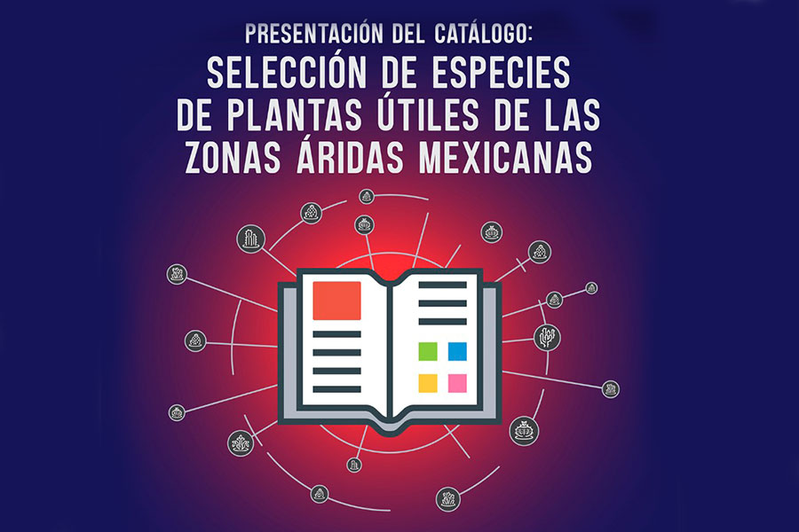 Presentar N Cat Logo De Plantas Tiles De Zonas Ridas Mexicanas