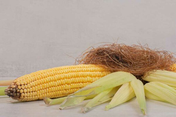 ESTIGMA DE MAÍZ, REDESCUBRIENDO UN ANTIGUO SECRETO PARA PROTEGER PAPAS FRESCAS
