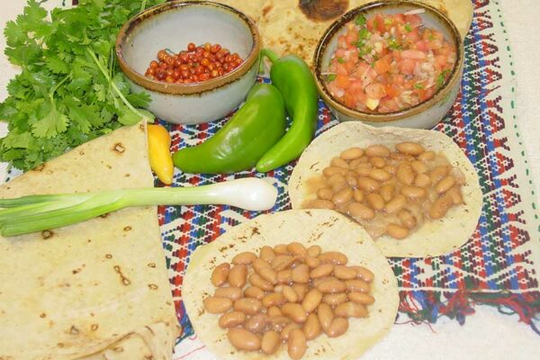 NUESTROS FRIJOLITOS PINTOS DE CADA DÍA
