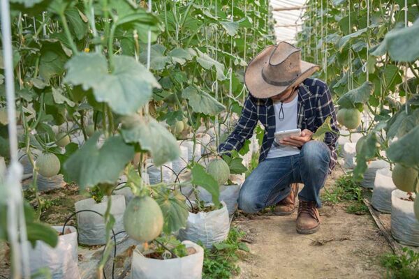 BIOFERTILIZANTES, MÉTODOS DE FERMENTACIÓN