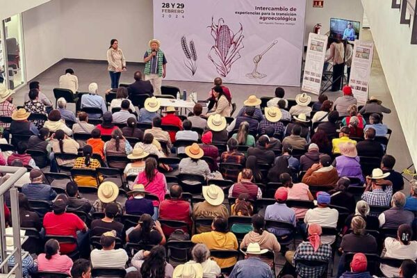 COMPARTEN CON PEQUEÑOS PRODUCTORES(AS) EXPERIENCIAS DE TRANSICIÓN AGROECOLÓGICA