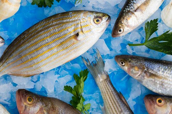 CONSEJOS PARA ELEGIR PESCADO FRESCO EN CUARESMA