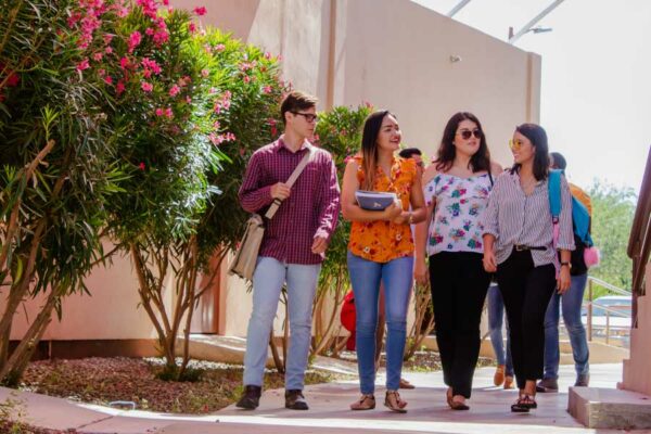 EL CIAD CONVOCA A INSCRIBIRSE EN SUS POSGRADOS EN CIENCIAS
