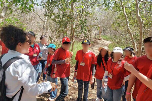 MÁS DE MIL NIÑOS(AS) Y JÓVENES HAN VISITADO EL CIAD MAZATLÁN ESTE 2024
